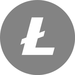 Asset icon
