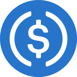 Asset icon